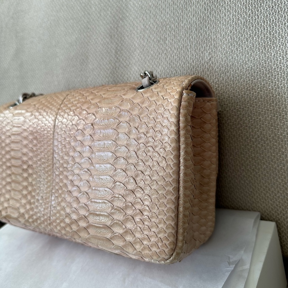 PRICE FIRM - 🌸CHANEL Classic Medium Python Flap Bag - Picture 4 of 15